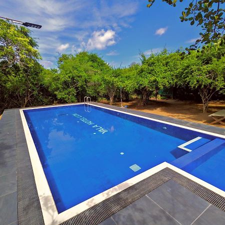 Yala Hotel Lion -Air Conditioned High Luxury Safari Camp Buitenkant foto