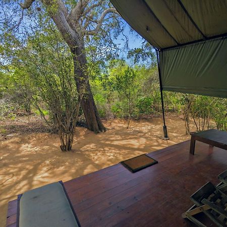 Yala Hotel Lion -Air Conditioned High Luxury Safari Camp Buitenkant foto