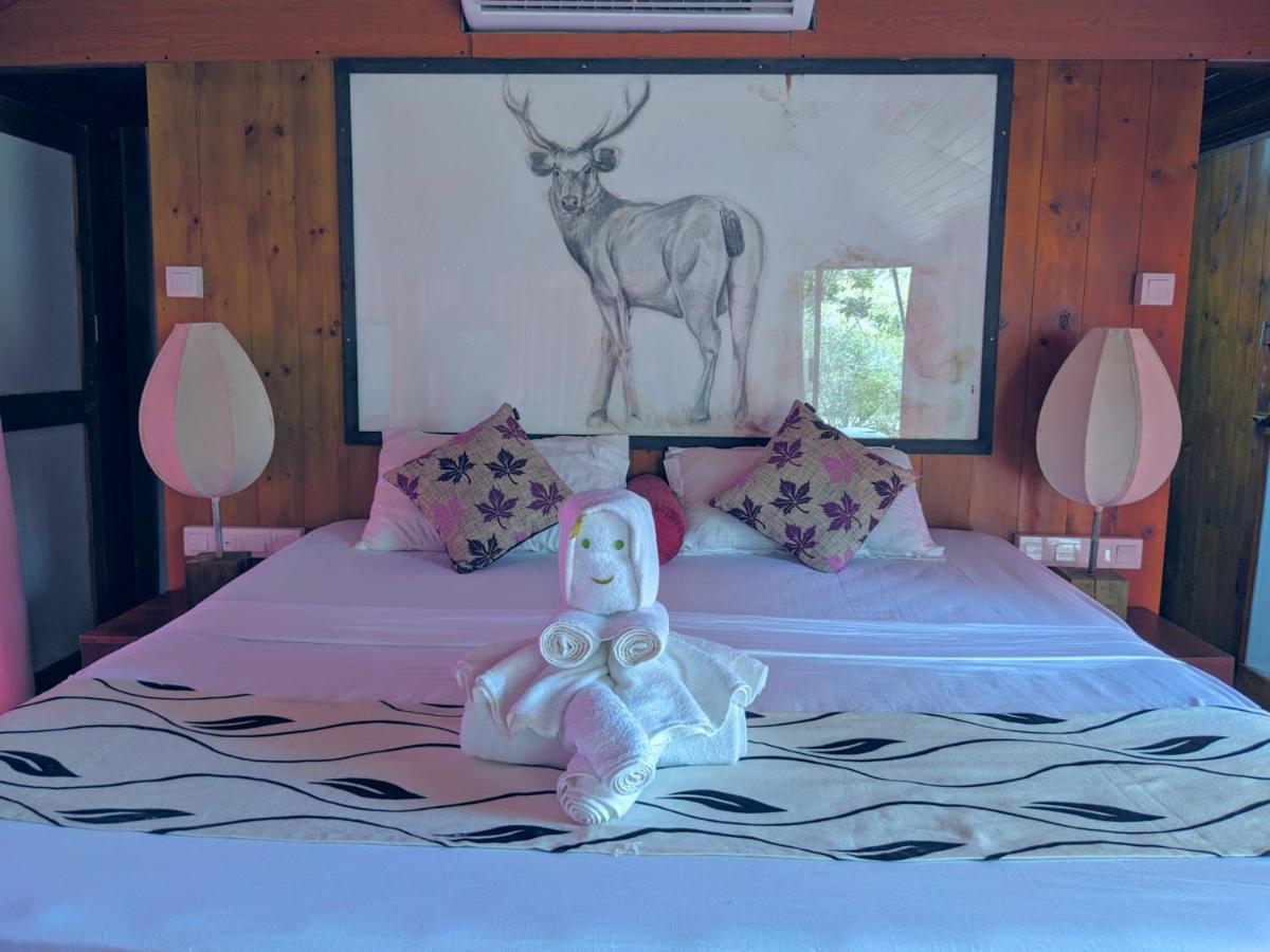 Yala Hotel Lion -Air Conditioned High Luxury Safari Camp Buitenkant foto