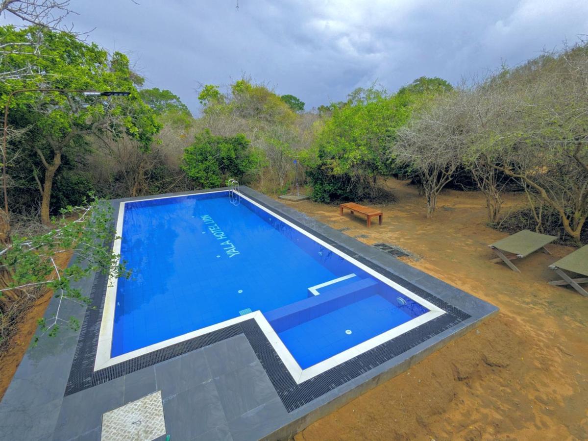 Yala Hotel Lion -Air Conditioned High Luxury Safari Camp Buitenkant foto