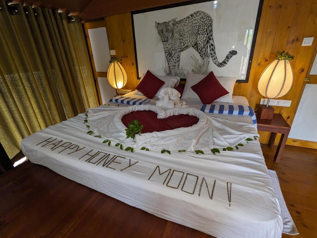 Yala Hotel Lion -Air Conditioned High Luxury Safari Camp Buitenkant foto