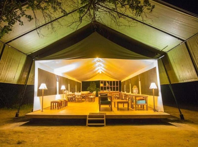 Yala Hotel Lion -Air Conditioned High Luxury Safari Camp Buitenkant foto