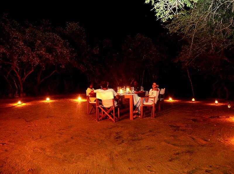 Yala Hotel Lion -Air Conditioned High Luxury Safari Camp Buitenkant foto