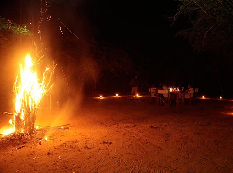 Yala Hotel Lion -Air Conditioned High Luxury Safari Camp Buitenkant foto