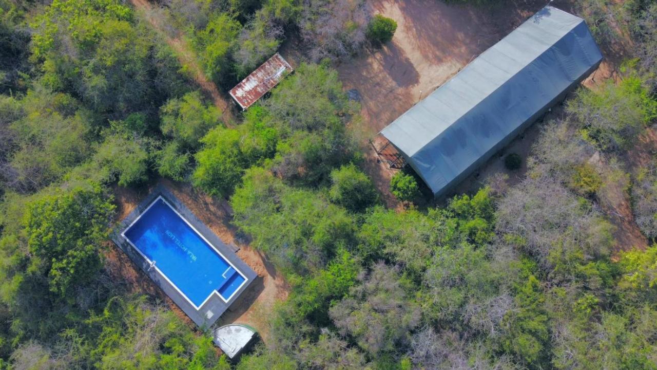 Yala Hotel Lion -Air Conditioned High Luxury Safari Camp Buitenkant foto