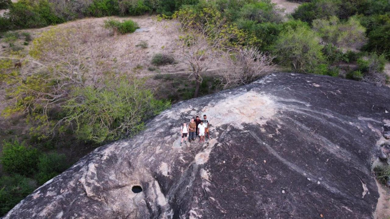 Yala Hotel Lion -Air Conditioned High Luxury Safari Camp Buitenkant foto
