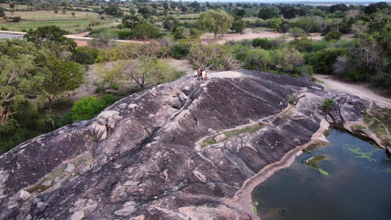 Yala Hotel Lion -Air Conditioned High Luxury Safari Camp Buitenkant foto