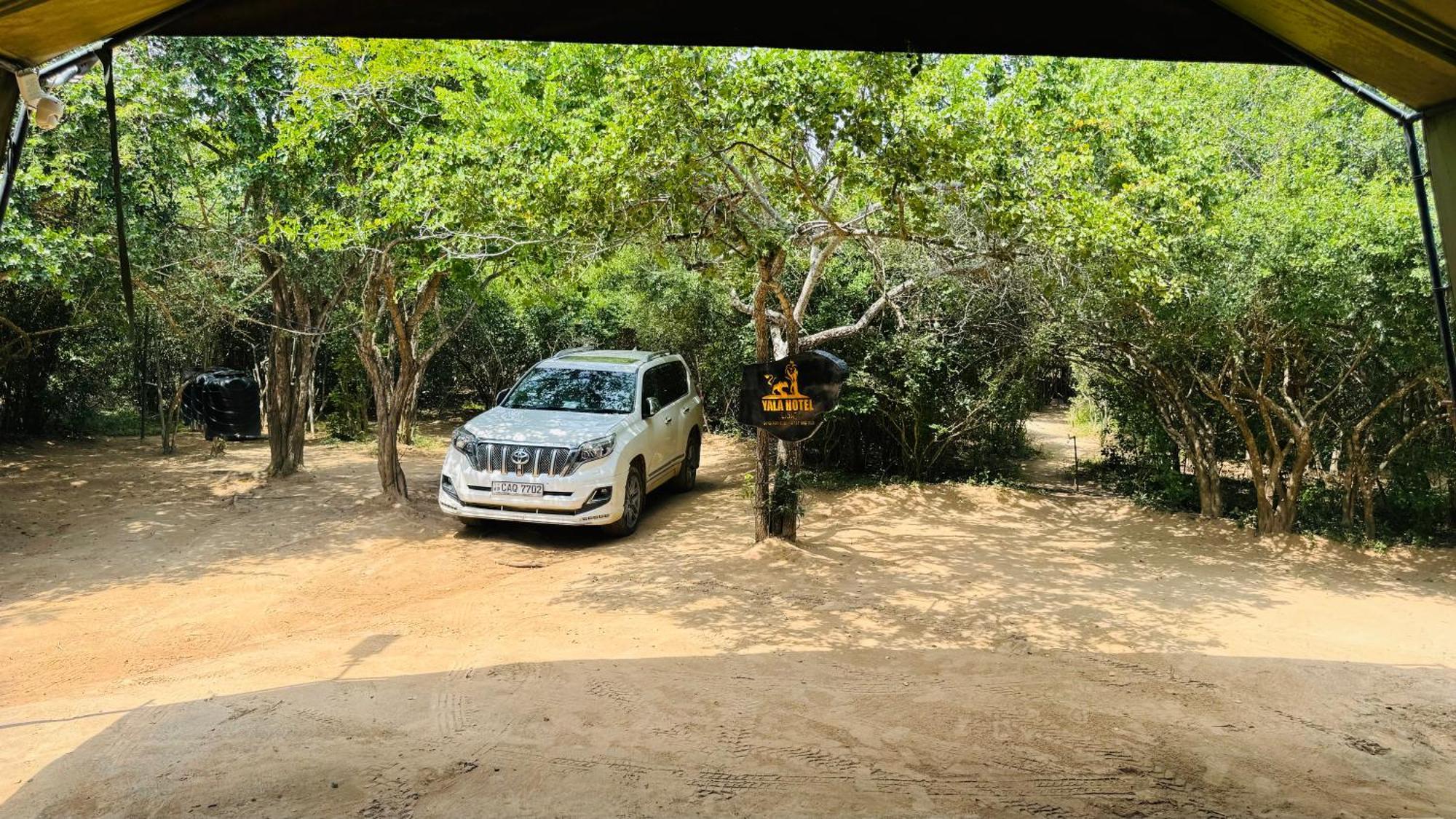Yala Hotel Lion -Air Conditioned High Luxury Safari Camp Buitenkant foto