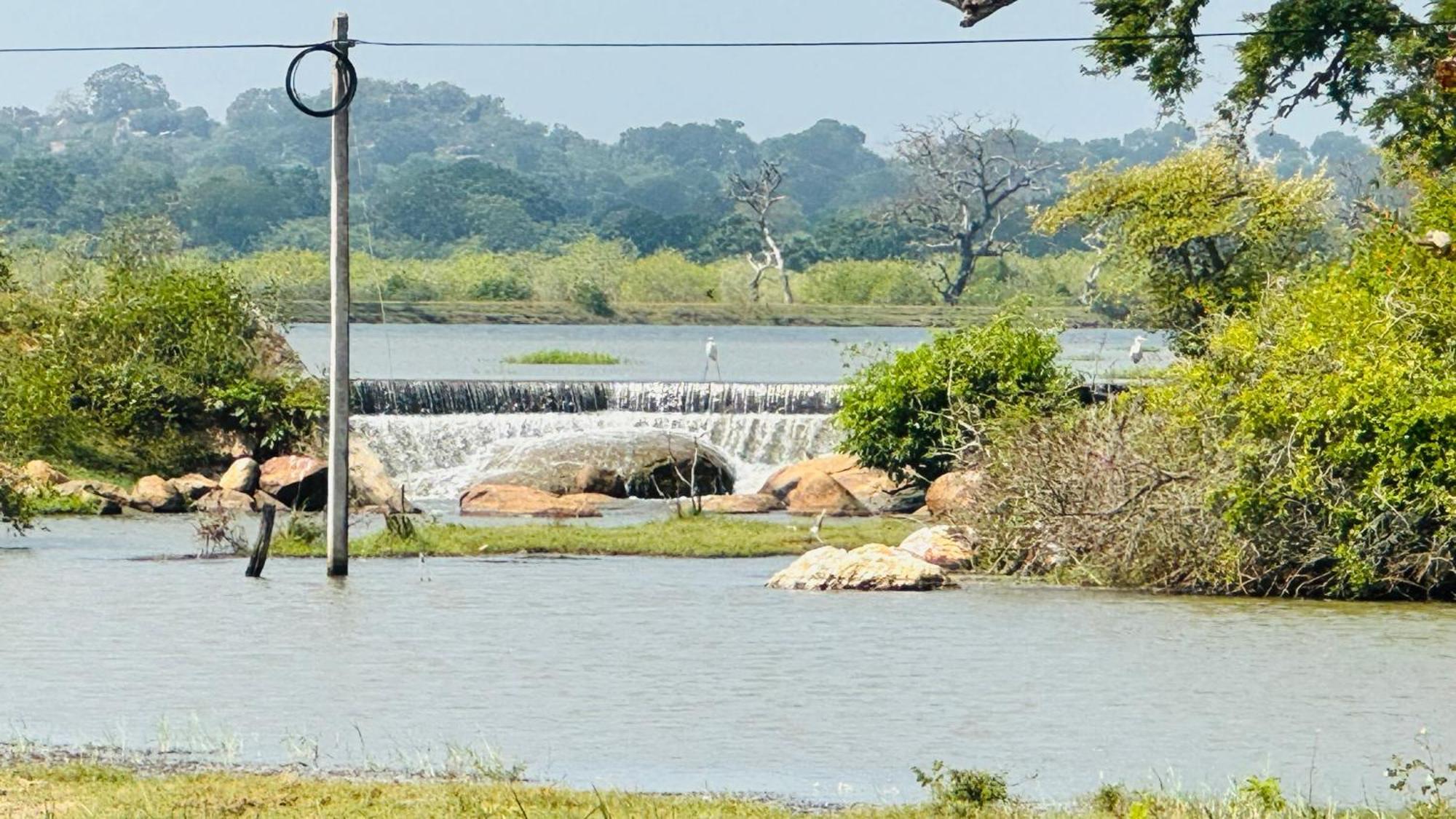 Yala Hotel Lion -Air Conditioned High Luxury Safari Camp Buitenkant foto