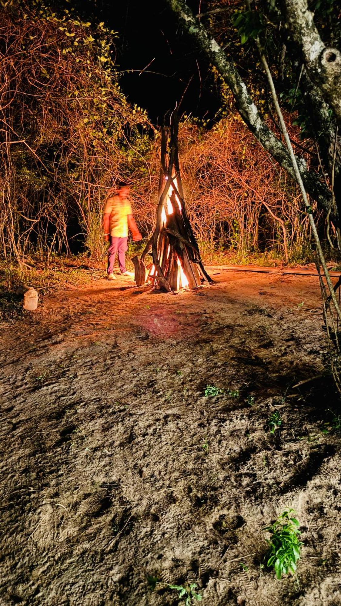 Yala Hotel Lion -Air Conditioned High Luxury Safari Camp Buitenkant foto