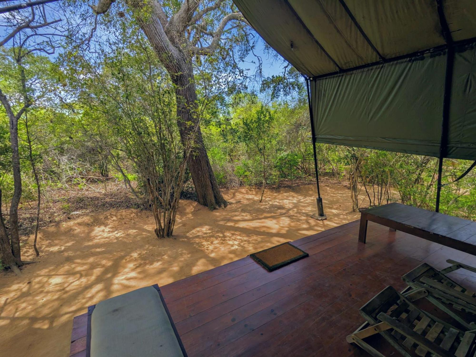 Yala Hotel Lion -Air Conditioned High Luxury Safari Camp Buitenkant foto