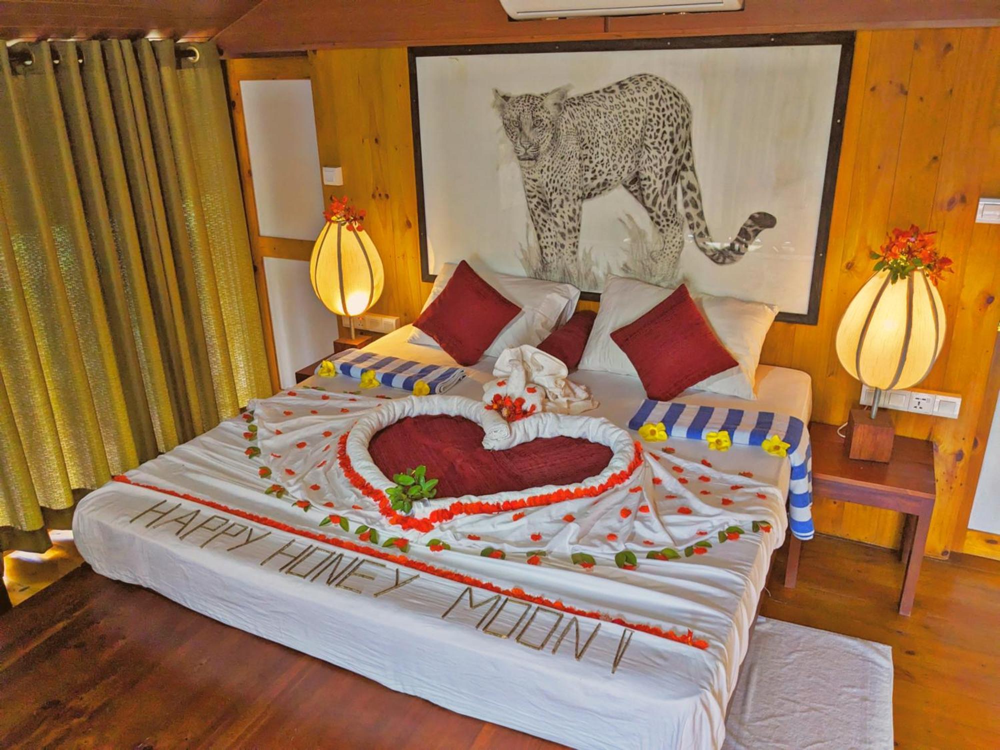 Yala Hotel Lion -Air Conditioned High Luxury Safari Camp Buitenkant foto