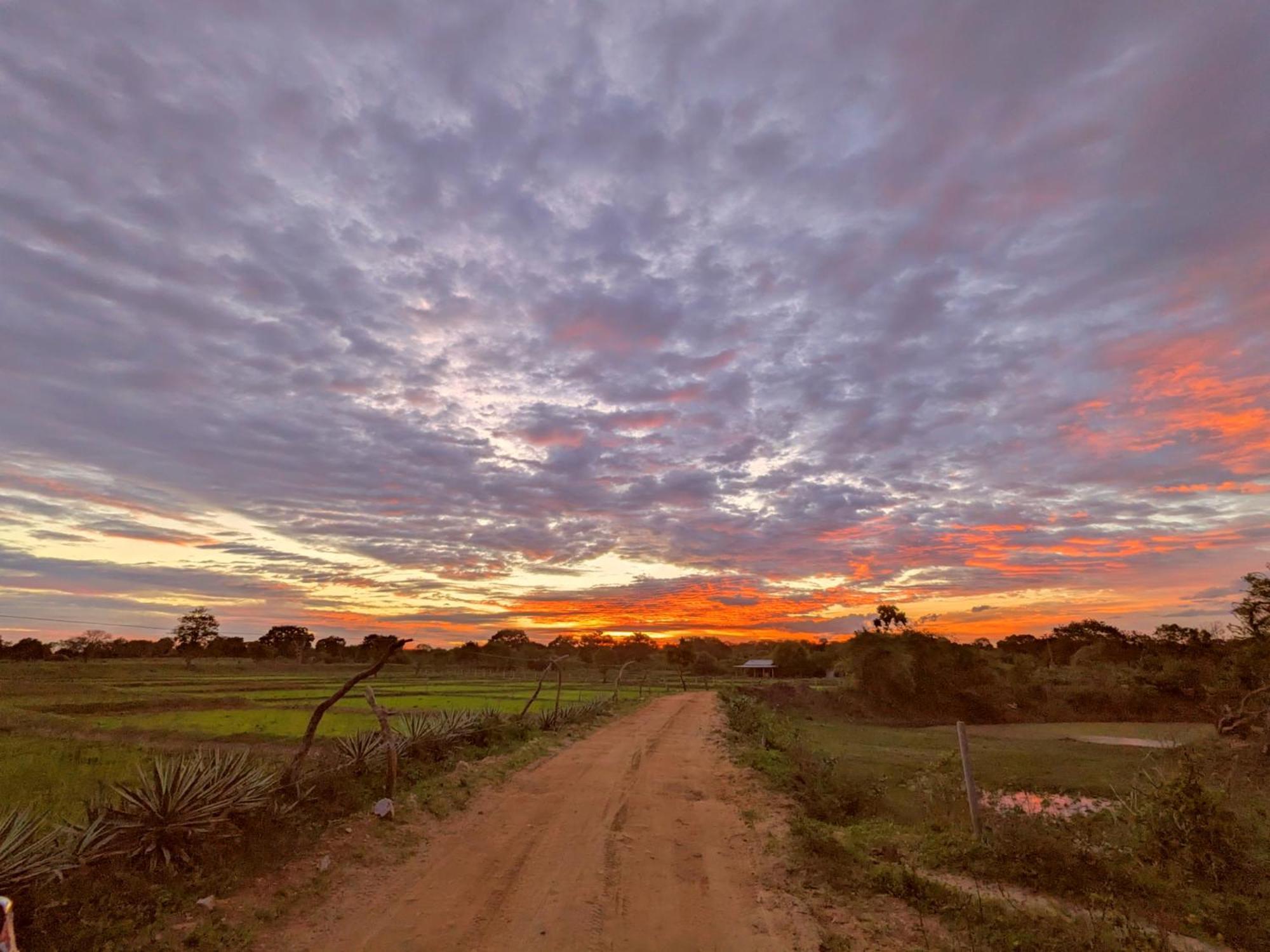 Yala Hotel Lion -Air Conditioned High Luxury Safari Camp Buitenkant foto