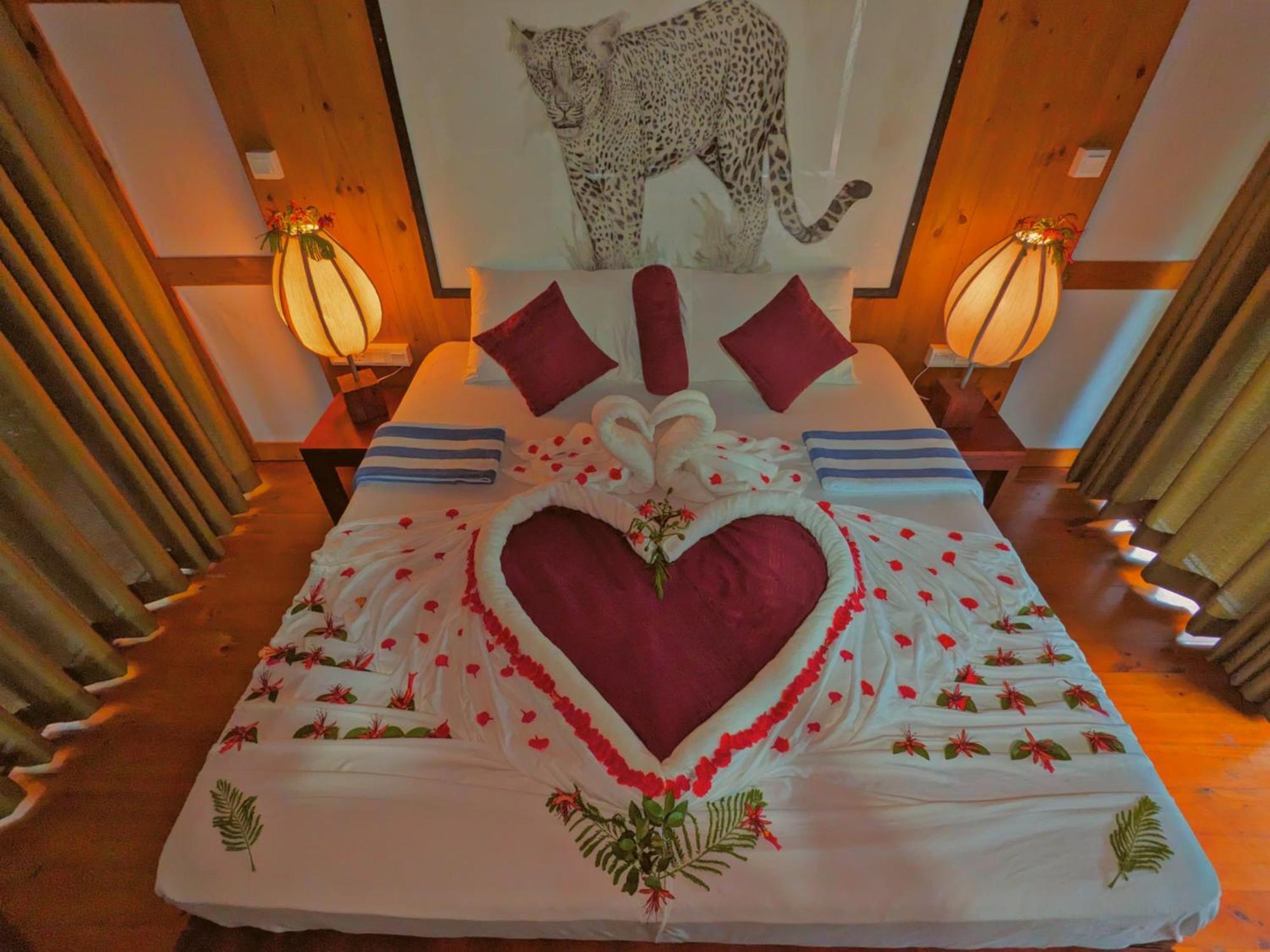 Yala Hotel Lion -Air Conditioned High Luxury Safari Camp Buitenkant foto