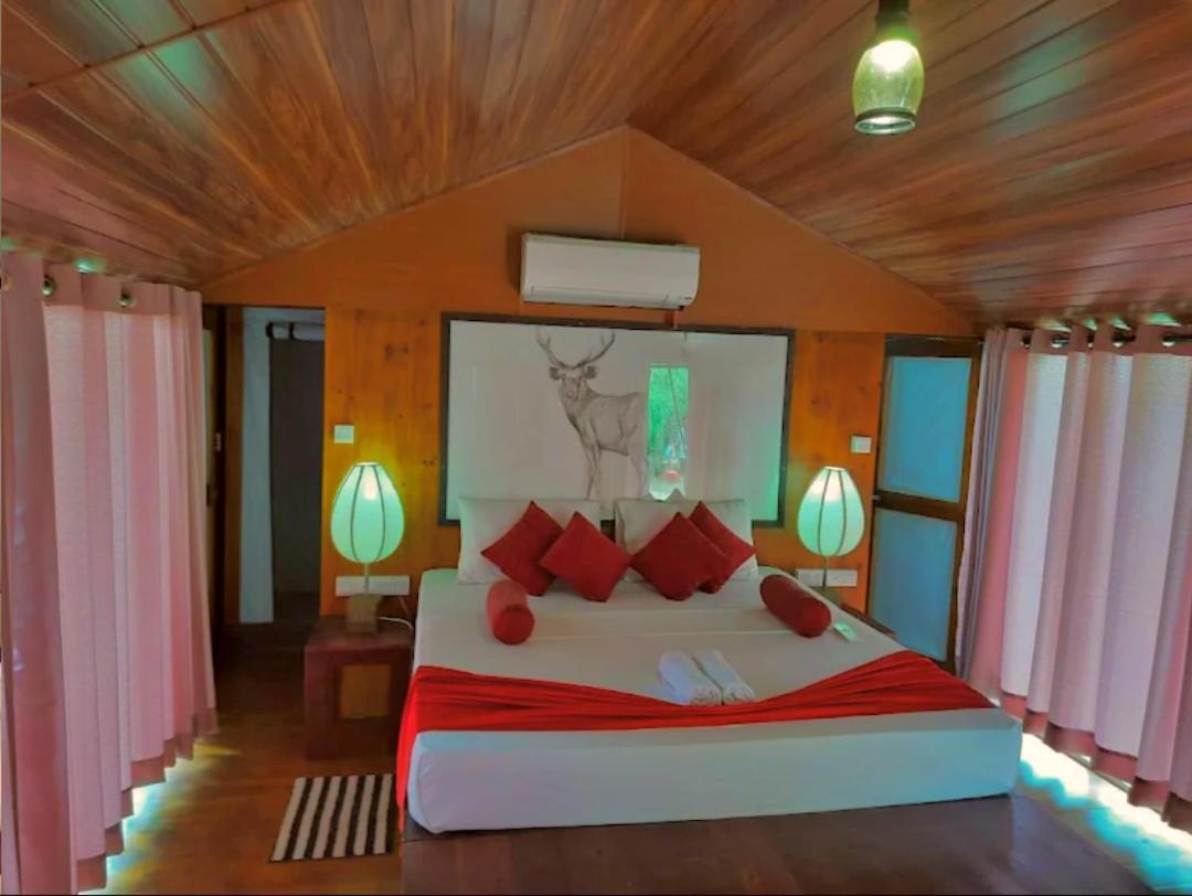 Yala Hotel Lion -Air Conditioned High Luxury Safari Camp Buitenkant foto