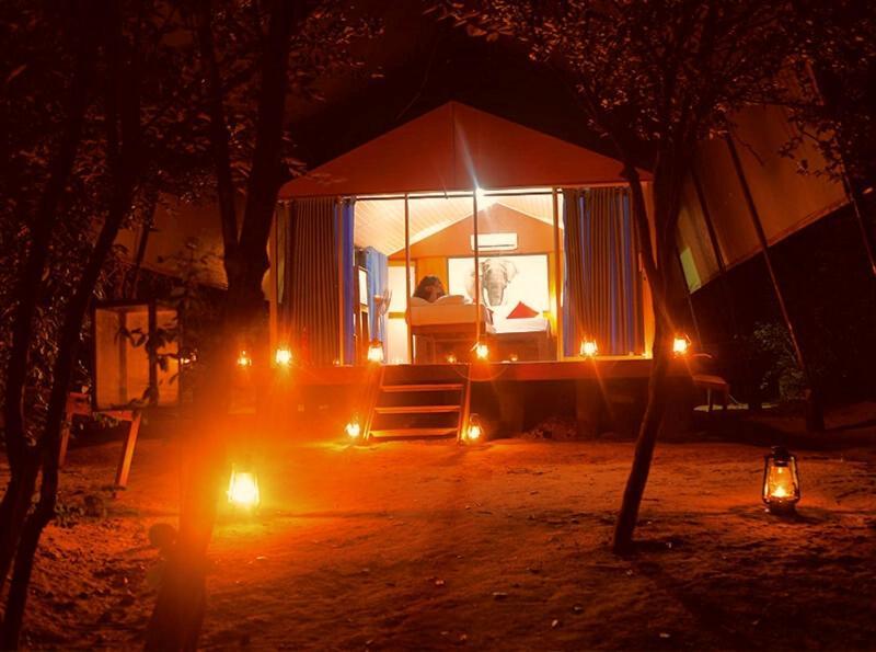 Yala Hotel Lion -Air Conditioned High Luxury Safari Camp Buitenkant foto
